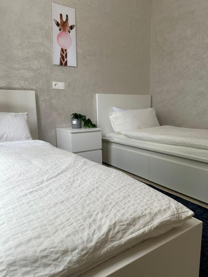 Ifrane Apartment With Swimming Pool Zewnętrze zdjęcie